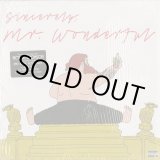 画像: Action Bronson / Mr. Wonderful