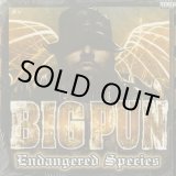 画像: Big Pun / Endangered Species (2LP)