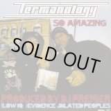 画像: Termanology / So Amazing c/w Low IQ