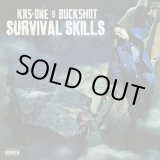 画像: KRS-One & Buckshot / Survival Skills