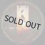 画像: Mr Raoul K / Neo-Evolution 01