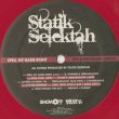 画像3: Statik Selektah / Spell My Name Right (2LP) (3)